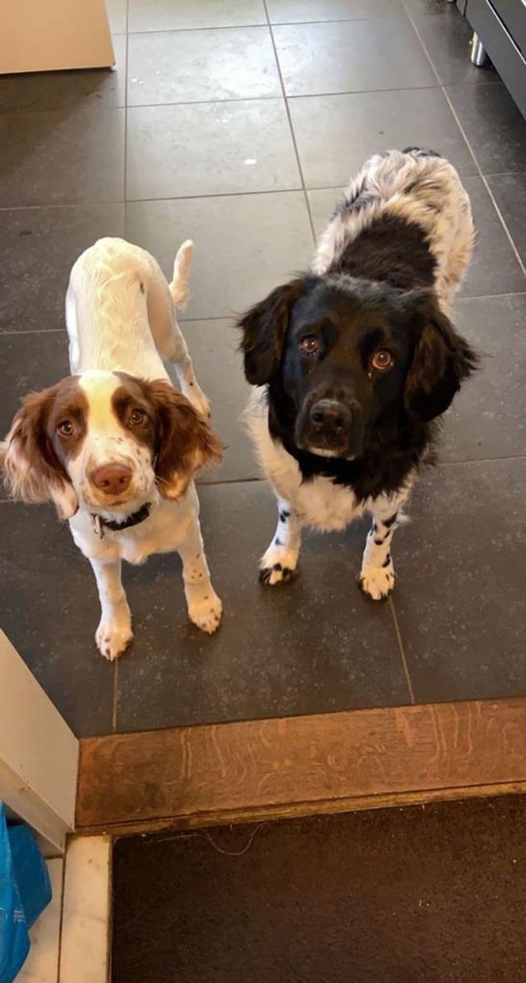 WhatsApp Image 2022-03-16 at 8.39.50 AM.jpeg