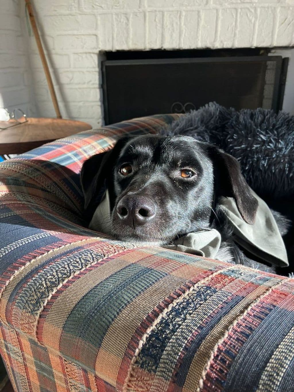 WhatsApp Image 2026-01-02 at 12.46.46.jpeg