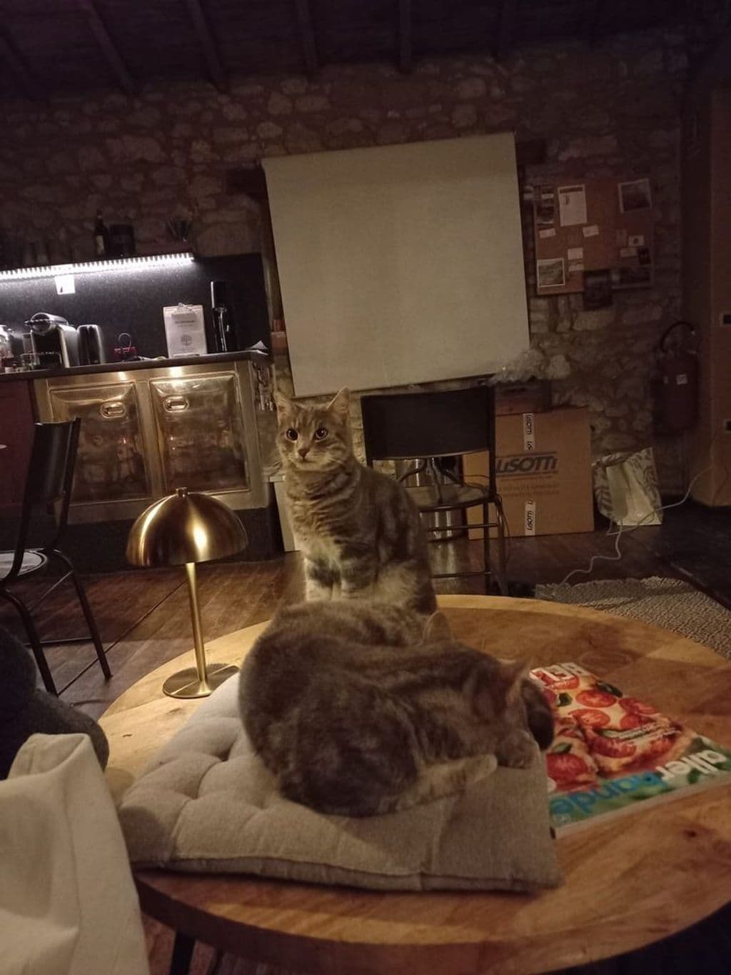 Afbeelding van WhatsApp op 2025-11-14 om 16.25.47_263511a4.jpg