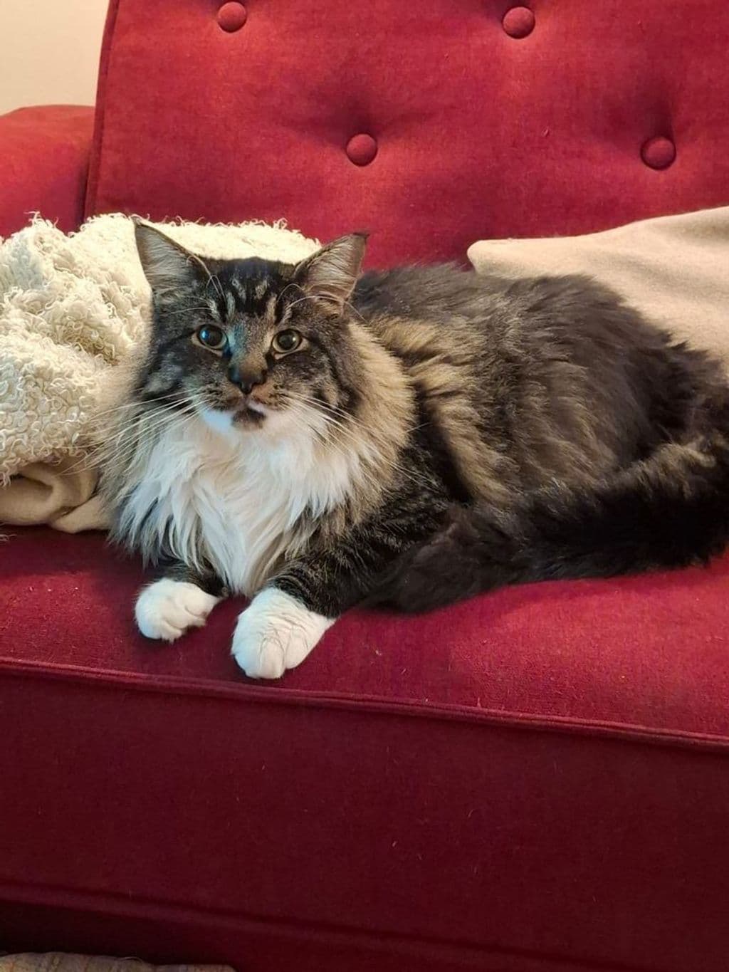 PHOTO-2026-01-19-11-43-43 (1).jpg