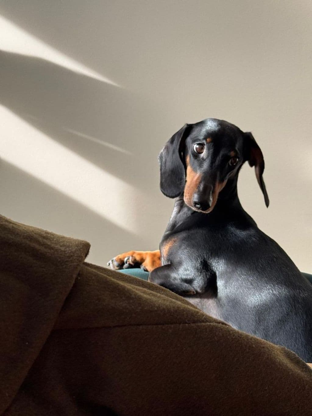 WhatsApp Image 2025-06-01 at 22.17.41.jpeg