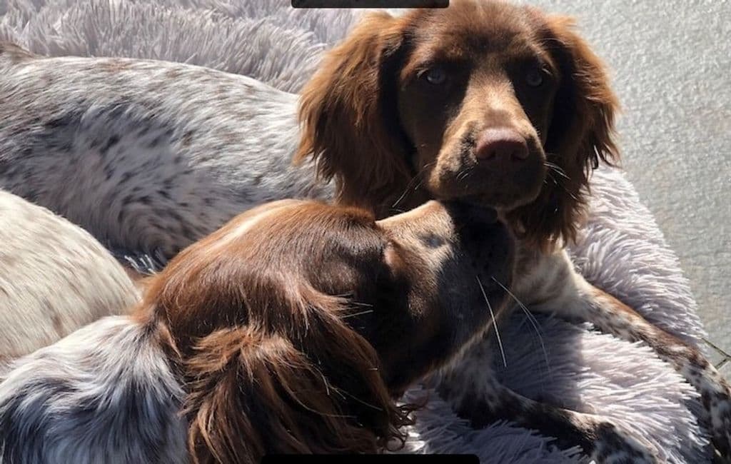 Meghan en Jaimy op kussen.jpg