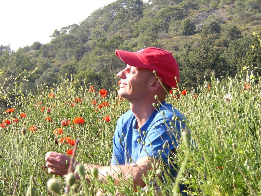 2007 Rhodos klaprozen side.JPG