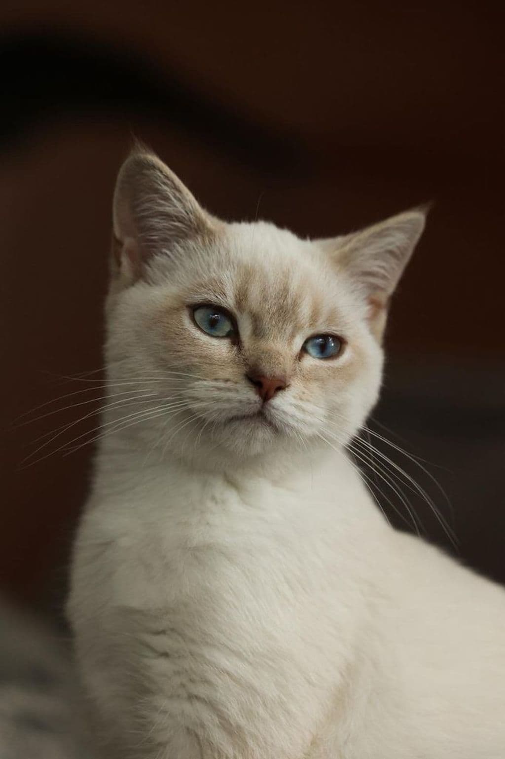 WhatsApp Image 2026-02-28 at 20.04.33.jpeg