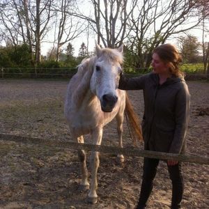 sap en juud